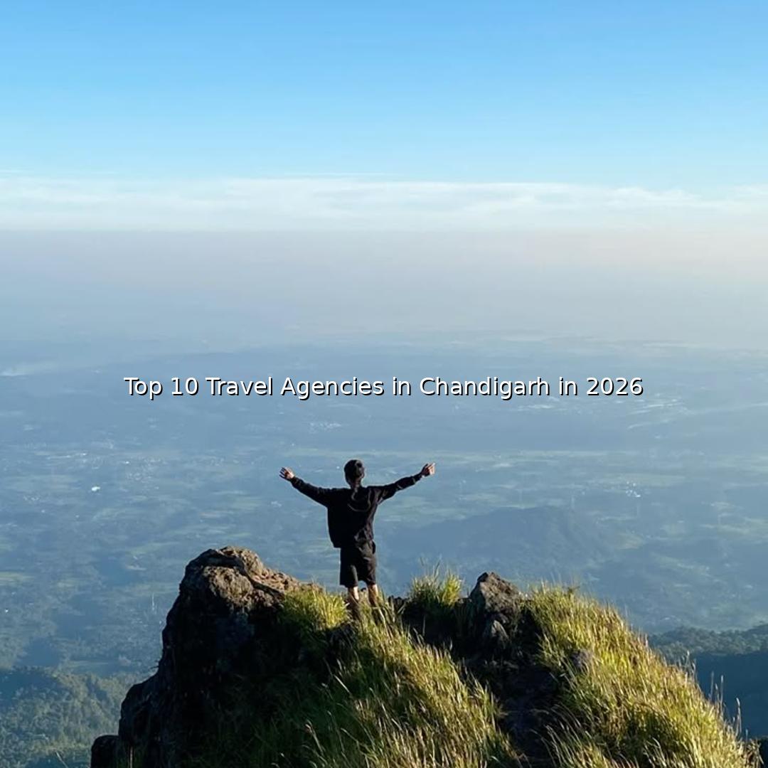 Top 10 Travel Companies in Chandigarh in 2026