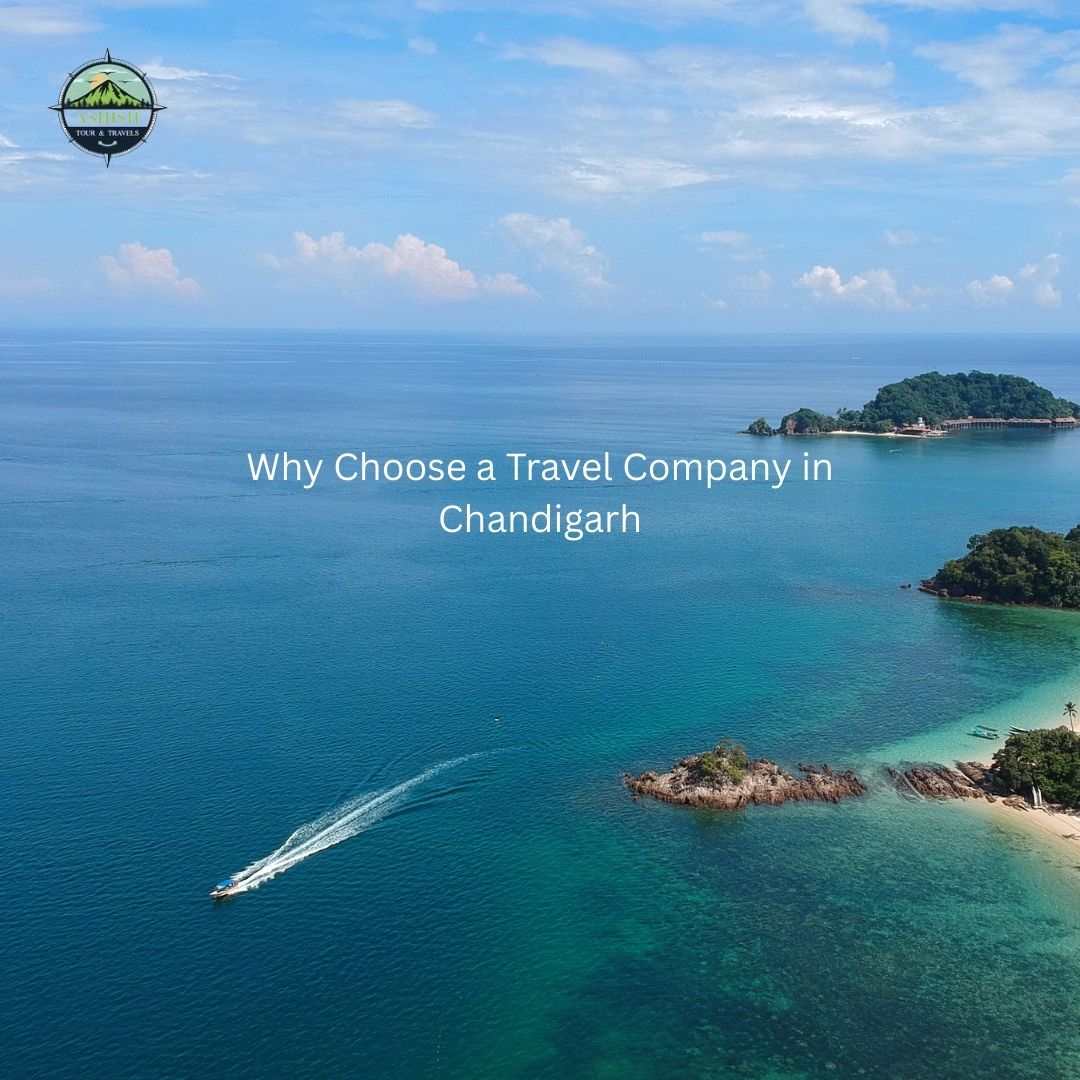 Why Choose a Travel Company in Chandigarh
